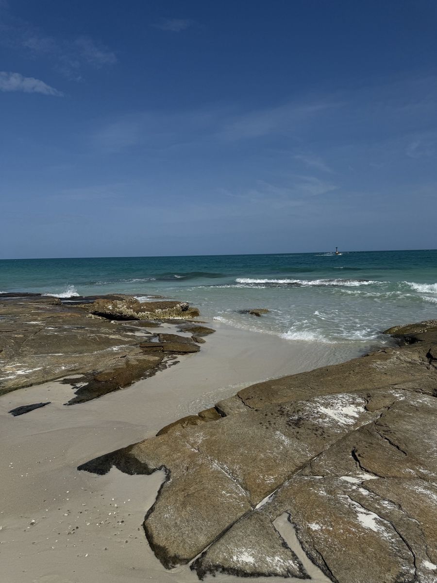 Rocky shore