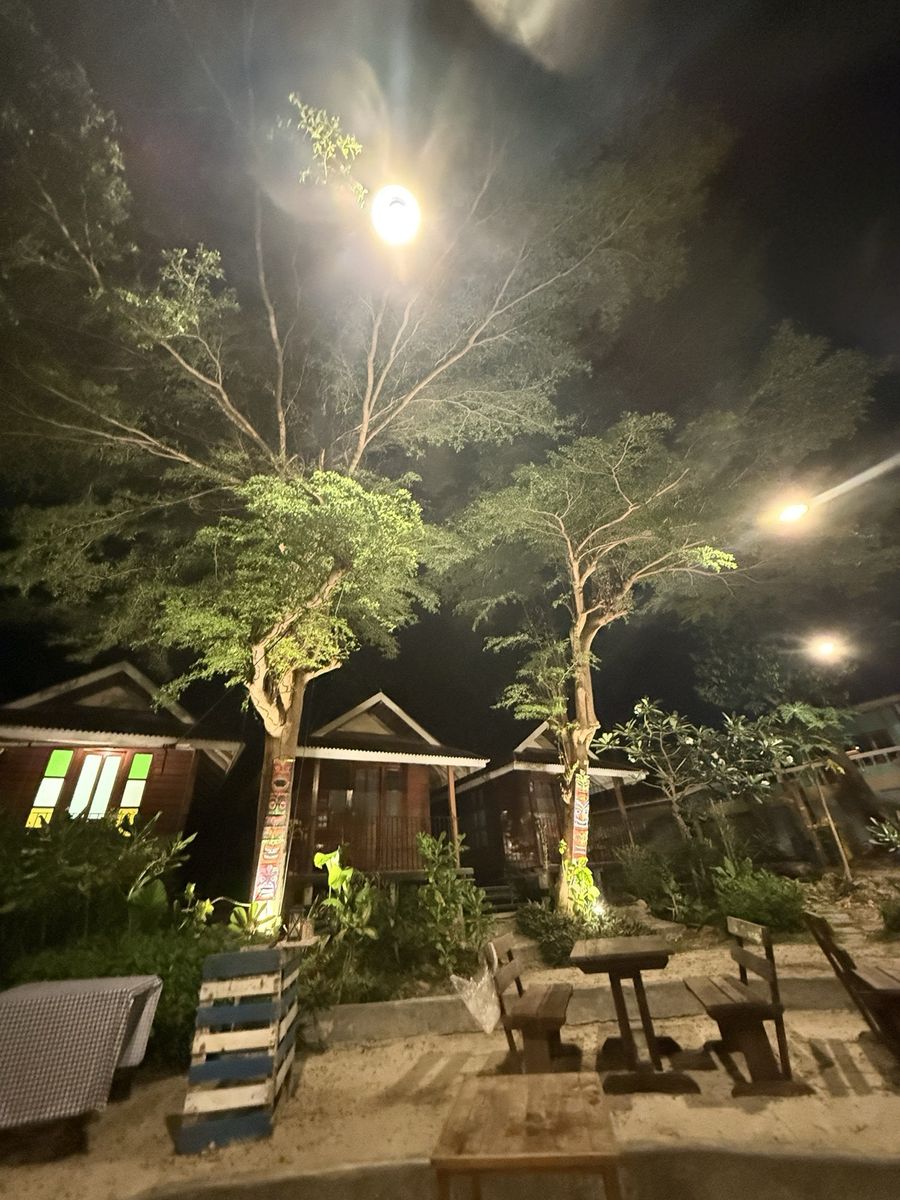Bungalows night